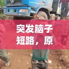 突发脑子短路,原因解析、影响评估与应对策略探究