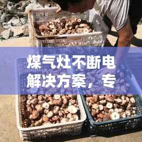 煤气灶不断电解决方案,专业解决灶具故障,轻松应对断电困扰