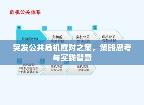 突发公共危机应对之策，策略思考与实践智慧