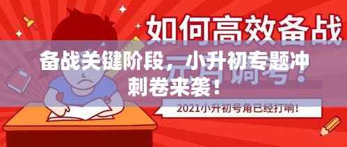 备战关键阶段,小升初专题冲刺卷来袭!