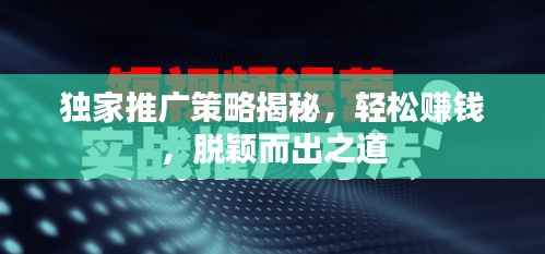 独家推广策略揭秘,轻松赚钱,脱颖而出之道