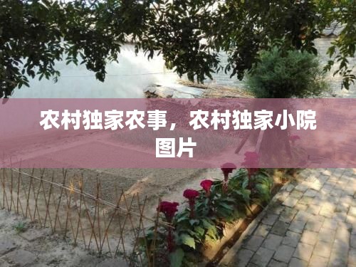 农村独家农事,农村独家小院图片