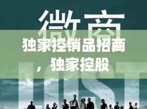 独家控销品招商,独家控股