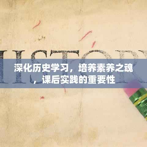 深化历史学习,培养素养之魂,课后实践的重要性
