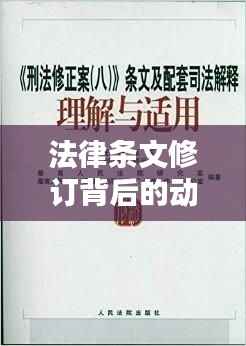法律条文修订背后的动因解析