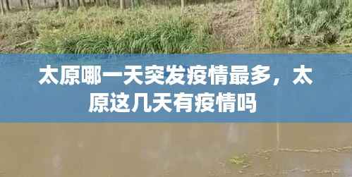 太原哪一天突发疫情最多,太原这几天有疫情吗