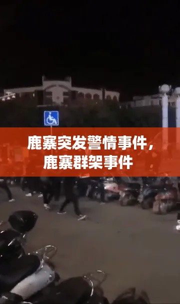 鹿寨突发警情事件，鹿寨群架事件 