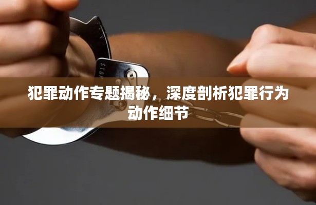 犯罪动作专题揭秘,深度剖析犯罪行为动作细节