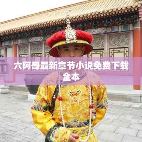 六阿哥最新章节小说免费下载全本