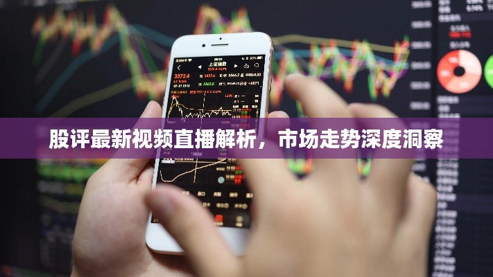 股评最新视频直播解析,市场走势深度洞察