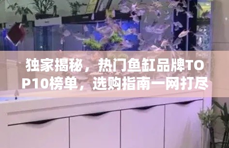 独家揭秘,热门鱼缸品牌TOP10榜单,选购指南一网打尽!