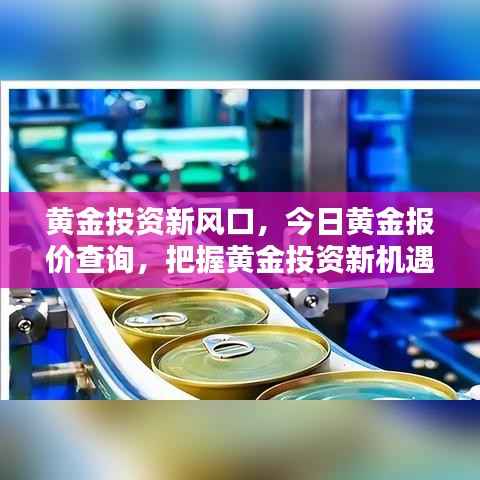 黄金投资新风口,今日黄金报价查询,把握黄金投资新机遇!