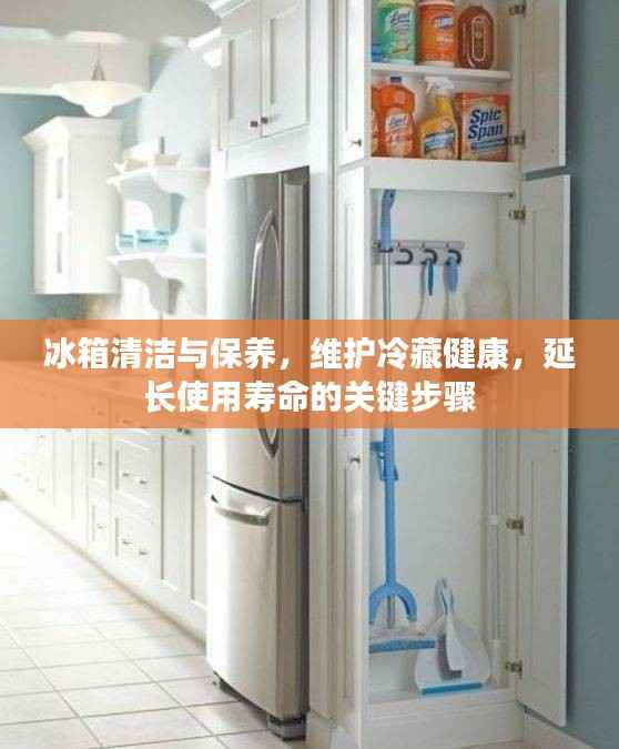 冰箱清洁与保养，维护冷藏健康，延长使用寿命的关键步骤