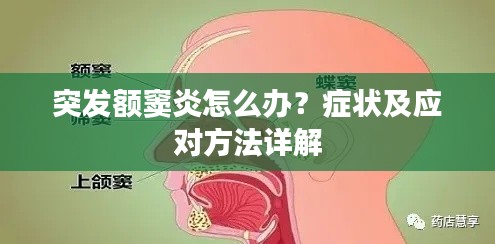 案例 第103页