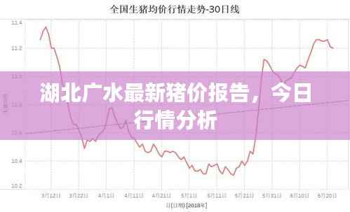 湖北广水最新猪价报告,今日行情分析