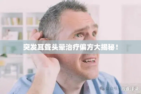 突发耳聋头晕治疗偏方大揭秘!