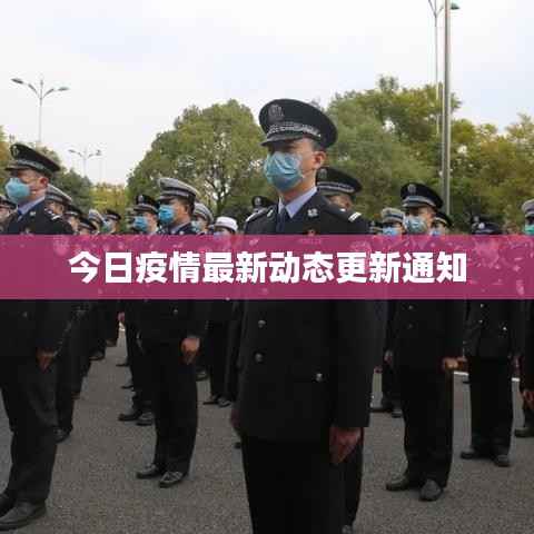 今日疫情最新动态更新通知