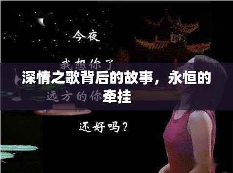 深情之歌背后的故事,永恒的牵挂