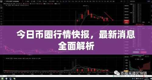 今日币圈行情快报,最新消息全面解析