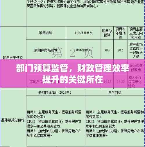 部门预算监管,财政管理效率提升的关键所在