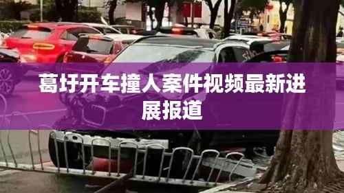 葛圩开车撞人案件视频最新进展报道