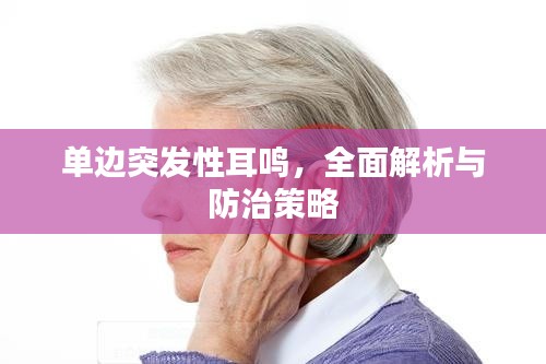 单边突发性耳鸣，全面解析与防治策略