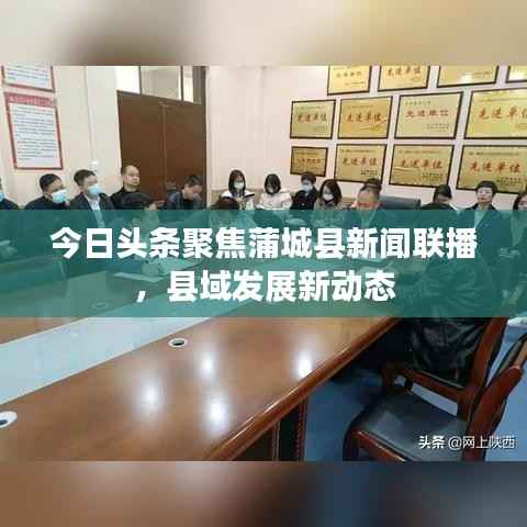 今日头条聚焦蒲城县新闻联播,县域发展新动态
