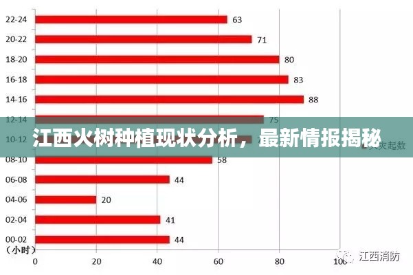 江西火树种植现状分析，最新情报揭秘