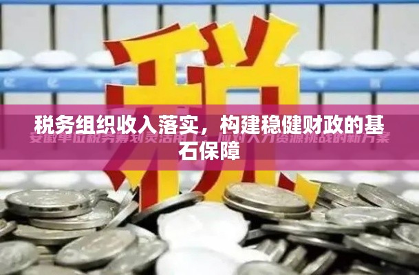 税务组织收入落实，构建稳健财政的基石保障