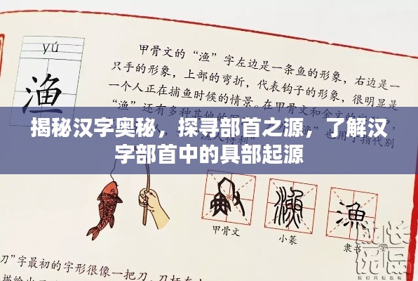 揭秘汉字奥秘，探寻部首之源，了解汉字部首中的具部起源