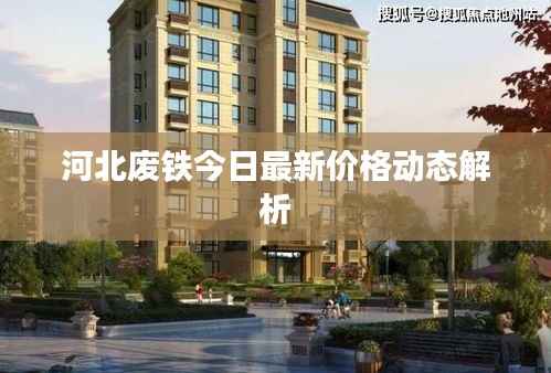 河北废铁今日最新价格动态解析