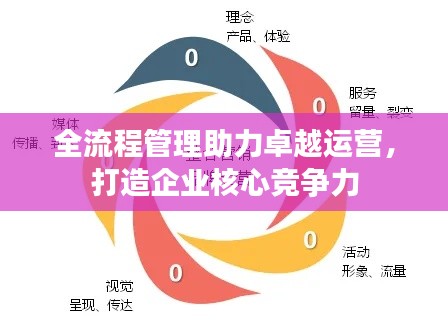 全流程管理助力卓越运营，打造企业核心竞争力