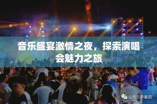 音乐盛宴激情之夜,探索演唱会魅力之旅