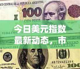 今日美元指数最新动态，市场走势深度分析与预测
