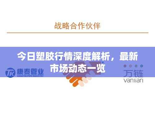 今日塑胶行情深度解析,最新市场动态一览