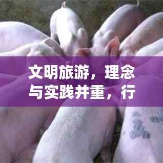 文明旅游，理念与实践并重，行动落实是关键